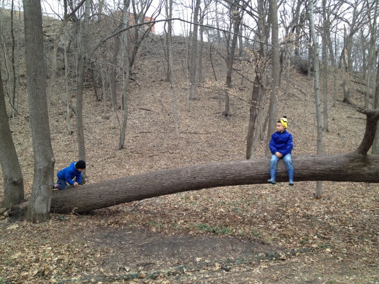 KellyBoys_MF18_20140419