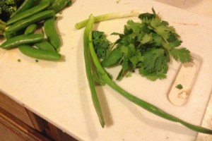 ChickenCurry_8