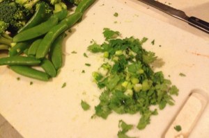 ChickenCurry_9