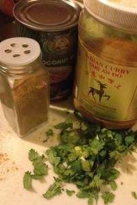 ChickenCurry_10