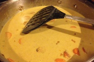 ChickenCurry_14