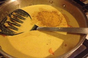 ChickenCurry_16